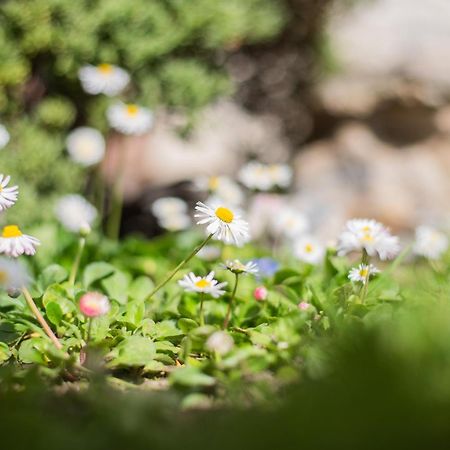 MorterBaienhof公寓 外观 照片